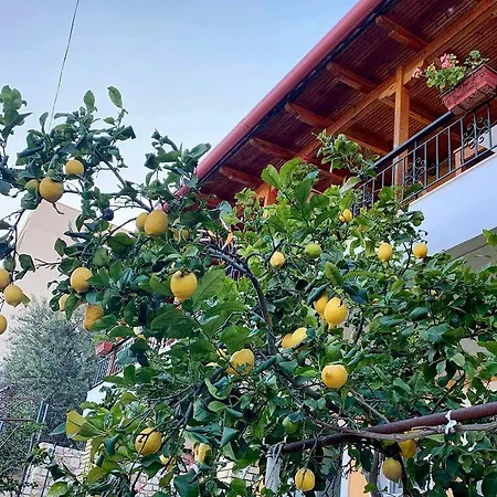 Tzavelitiko Guest house *