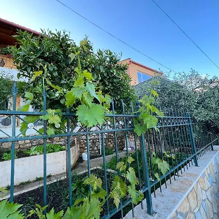 Tzavelitiko Guest house