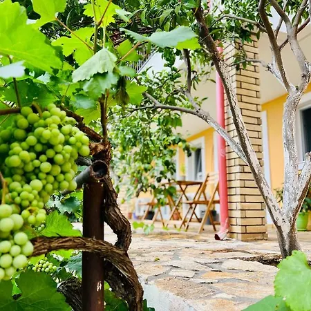 Guest house Tzavelitiko *