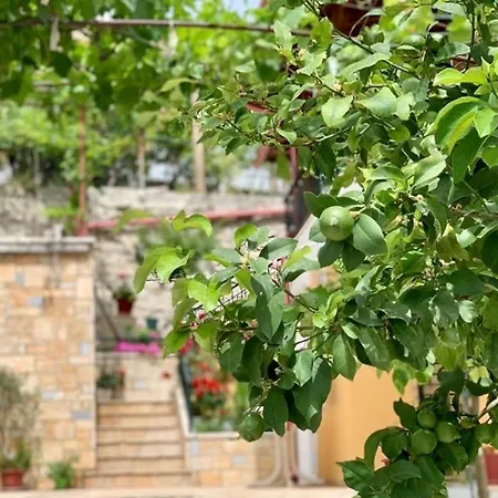 Tzavelitiko Guest house Himare