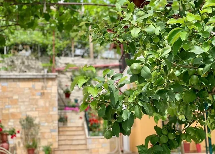 Tzavelitiko Maison d'hôtes Himarë
