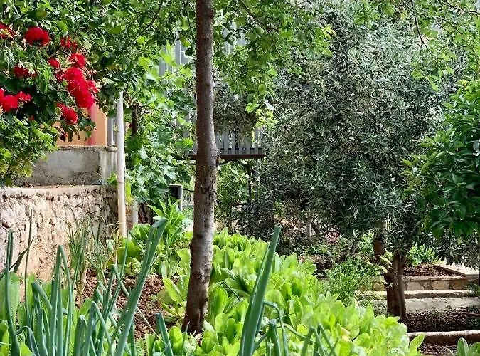 Tzavelitiko Maison d'hôtes Himarë