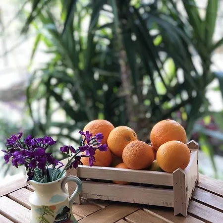 Tzavelitiko 3* Himarë