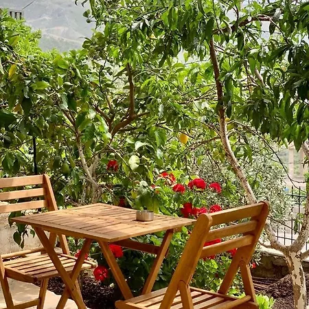 Tzavelitiko Πανσιόν Χειμάρρα