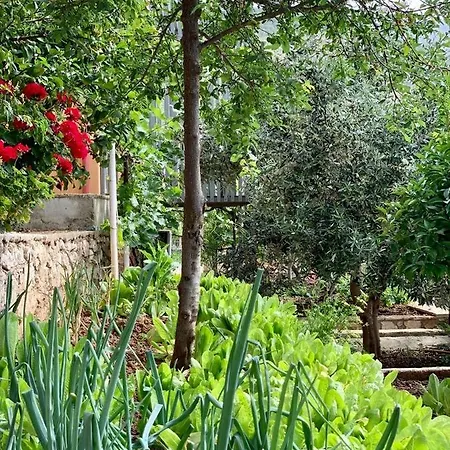 Tzavelitiko Gasthof Himarë