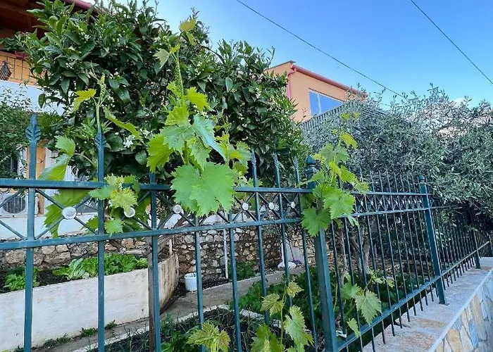 Tzavelitiko Guest house