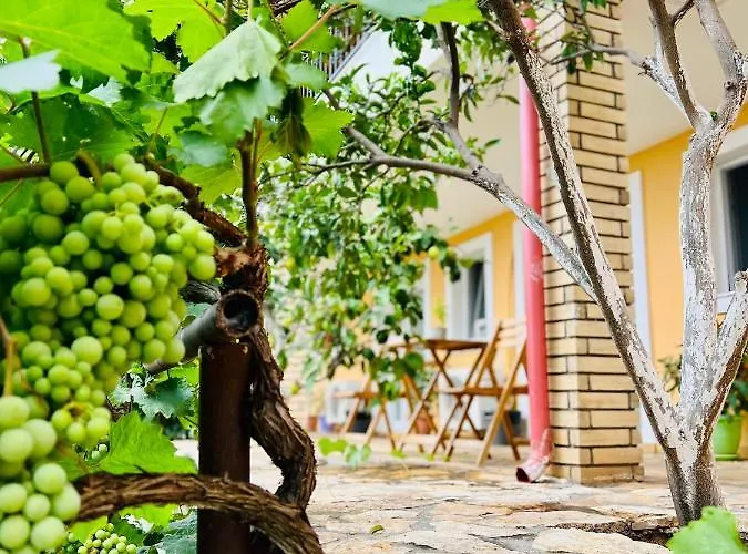 Guest house Tzavelitiko 3*